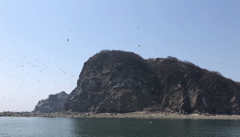 2018060050833-4-2.jpg