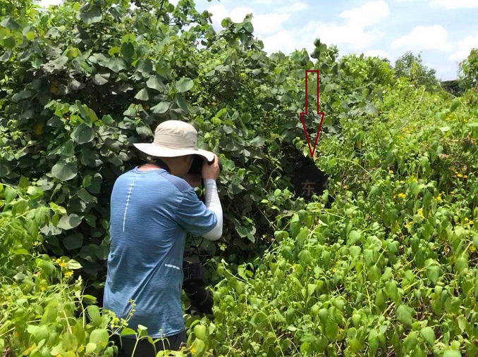 2018060050833-6-3.jpg 2018060050833-6-3.jpg