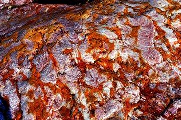 2018061200012-7-1.jpg 2018061200012-7-1.jpg