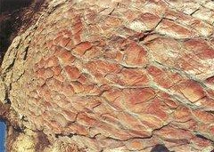 2018061200012-7-2.jpg 2018061200012-7-2.jpg