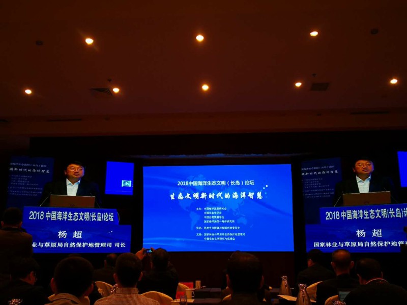201810190843-2-2.jpg
